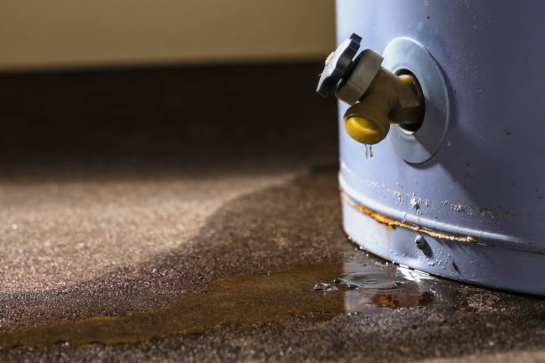 Best Water damage restoration near me  in Marion, IA