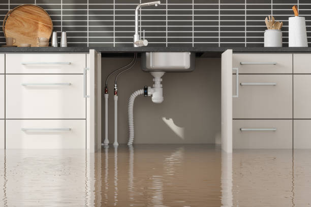 Best Flood damage cleanup  in Marion, IA