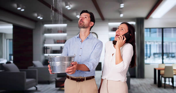 Best 24-hour water damage restoration  in Marion, IA